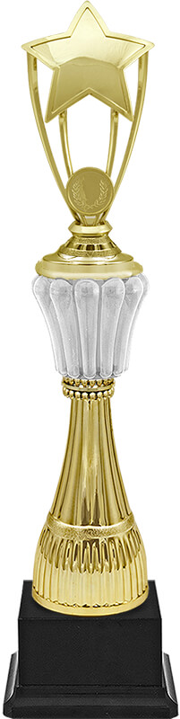 Награда Звезды 1948-400-101