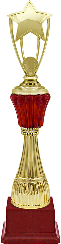Награда Звезды 1948-400-102