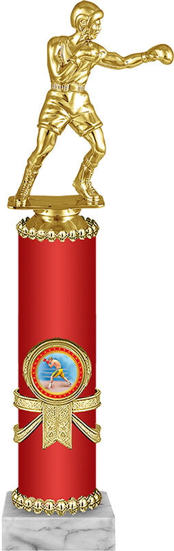 Награда Бокс 2007-290-002