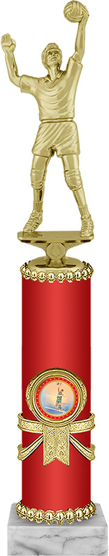 Награда Волейбол 2007-330-010