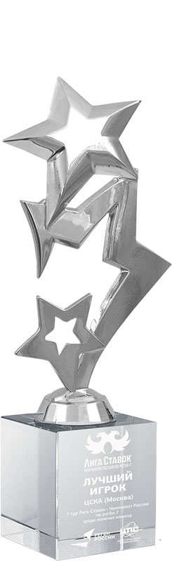 Награда Звезды с гравировкой 2013-200-ГР0