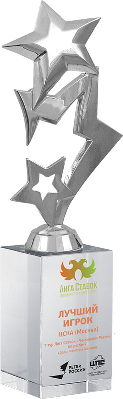 Награда Звезды с цветным нанесением 2013-230-УФ0