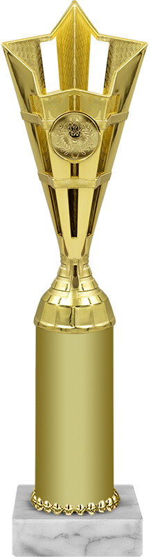 Награда 2027-300-100
