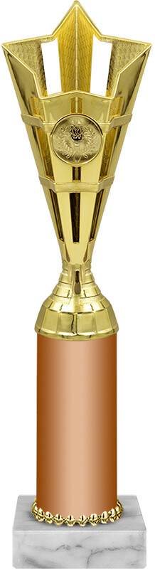 Награда 2027-300-300