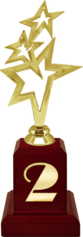 Награда Звезды 1,2,3 место 2115-250-102