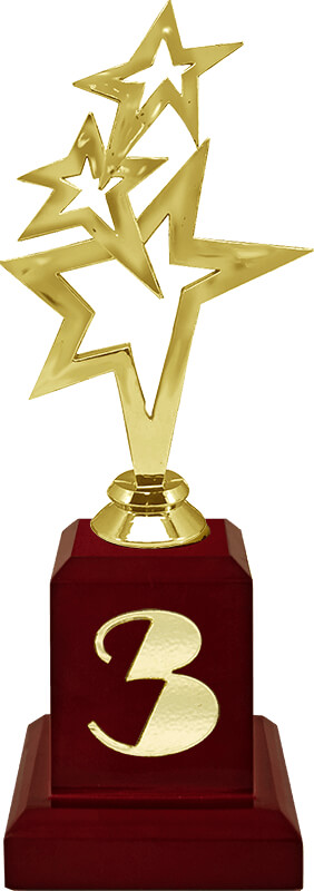 Награда Звезды 1,2,3 место 2115-250-103