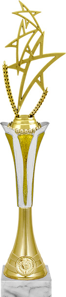 Награда Звезды 2119-350-100