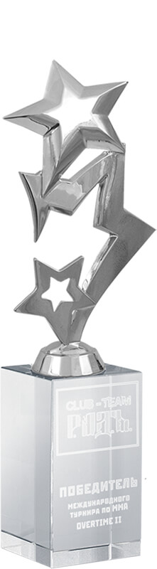 Награда Звезды с гравировкой 2865-230-2ГР