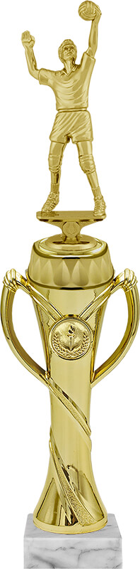Награда Данте (волейбол) 3022-380-100