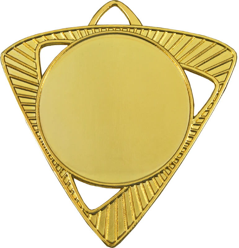 Медаль Шервинта 3587-070-100