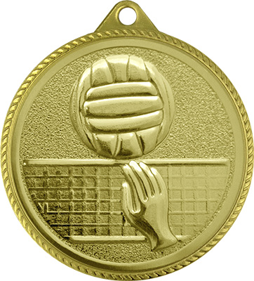 Медаль волейбол 3997-004-100