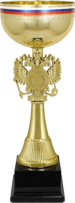 Кубок Патриот 4002-310-132
