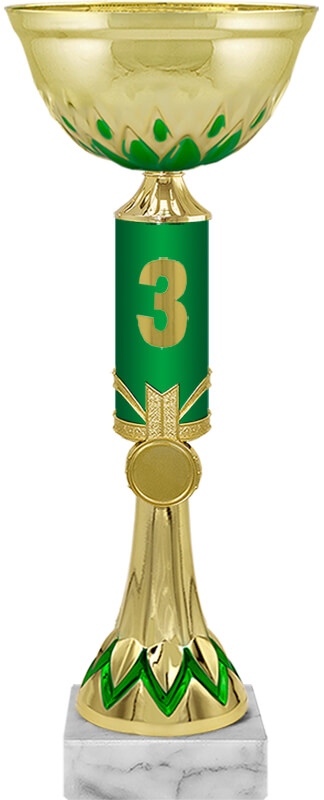 Кубок Стивен 1,2,3 место 4086-370-103