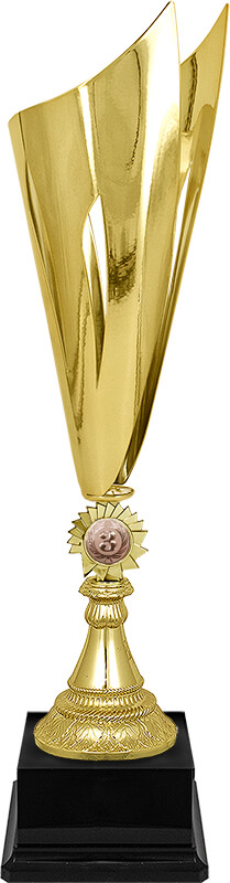 Кубок Джанго 1,2,3 место 4095-500-103
