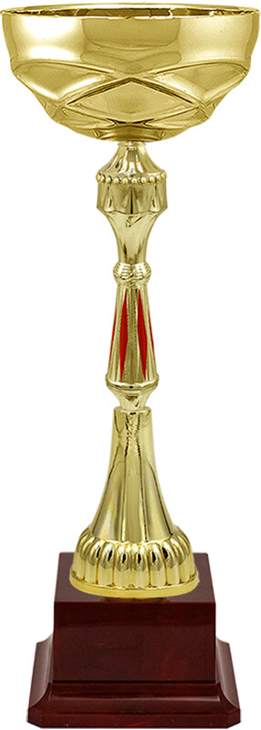 Кубок Тэмпли 4178-460-102