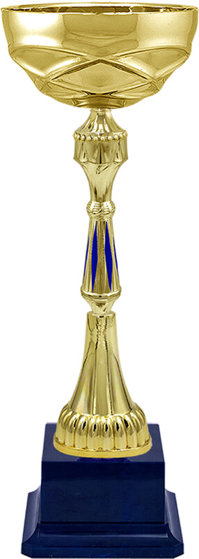 Кубок Тэмпли 4178-460-103