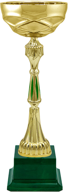 Кубок Тэмпли 4178-460-105