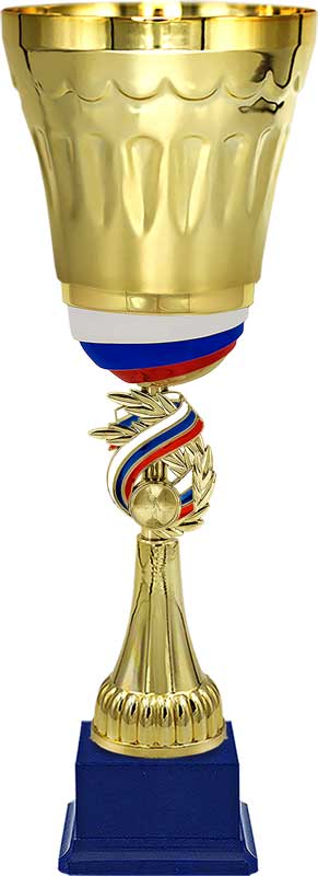 Кубок Чемпион 4223-440-100