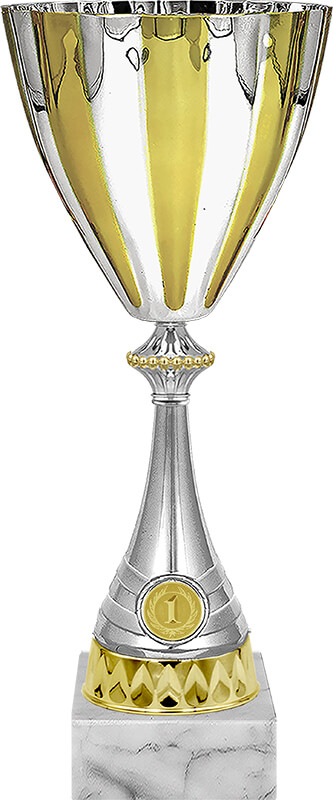 Кубок Зенит 1,2,3 место 4253-360-101