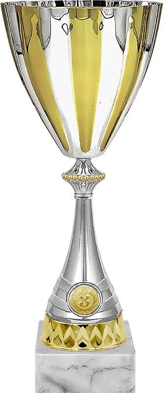 Кубок Зенит 1,2,3 место 4253-360-103