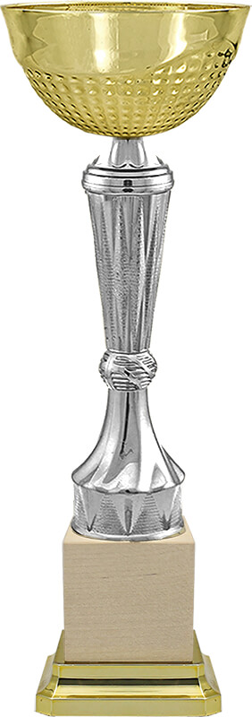 Кубок Дакс 4269-270-200