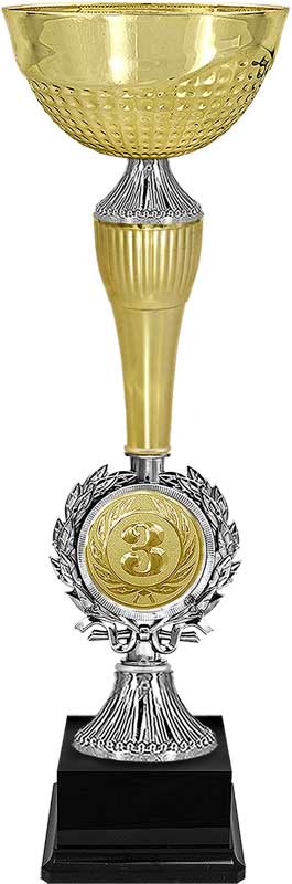 Кубок Ашот 1,2,3 место 4275-370-103