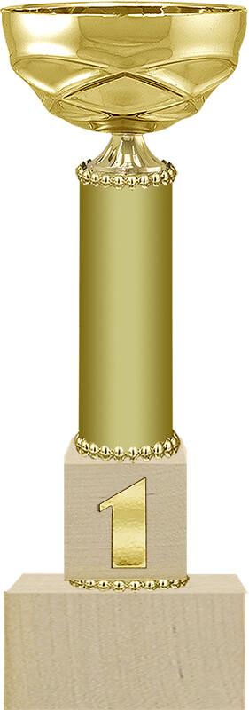 Кубок Марс 1,2,3 место 4330-300-101