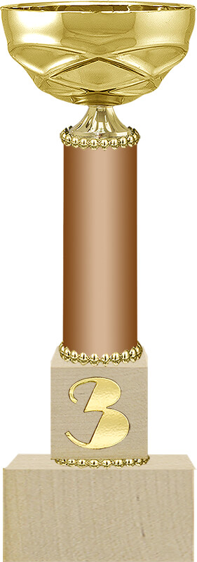 Кубок Марс 1,2,3 место 4330-300-303