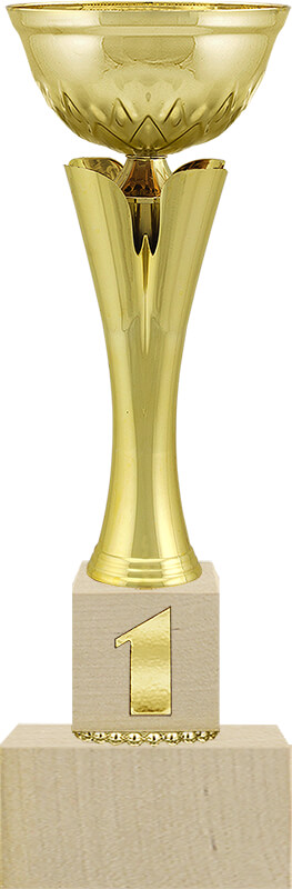 Кубок Вольф 1,2,3 место 4331-300-101