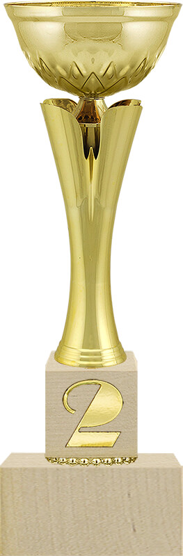 Кубок Вольф 1,2,3 место 4331-300-102