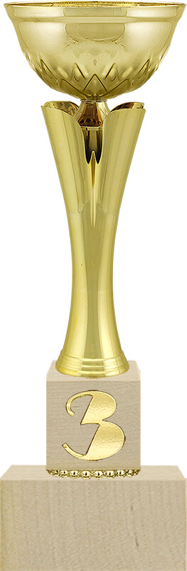 Кубок Вольф 1,2,3 место 4331-300-103