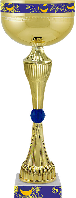 Кубок Нейт (Волейбол) 4379-360-В00
