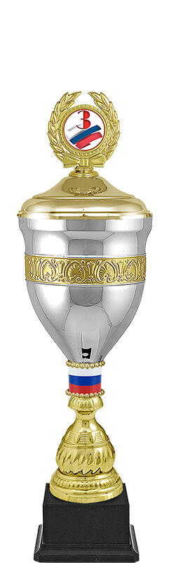 Кубок Спартак 1,2,3 место 4390-550-032