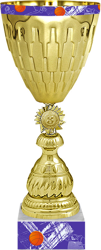 Кубок Дюрант (Баскетбол) 1,2,3 место 4450-350-Б03