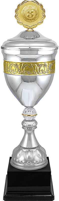 Кубок Юстиция 1,2,3 место 4454-560-203