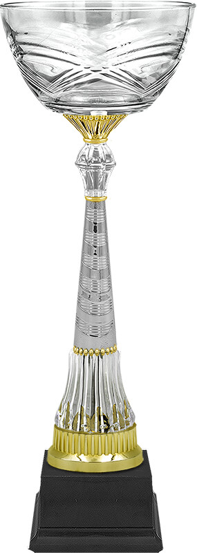 Кубок Катарина 4493-450-200
