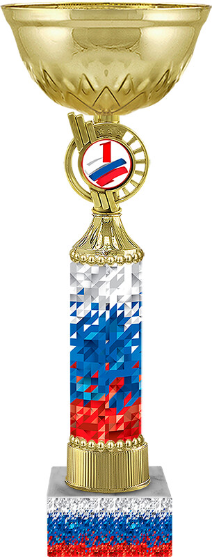 Кубок Агент 1,2,3 место 4507-310-101