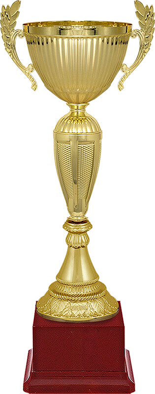 Кубок Рамиль 4560-380-102