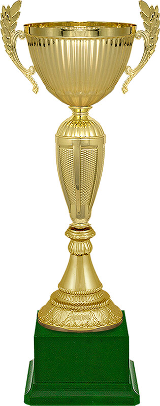 Кубок Рамиль 4560-380-105