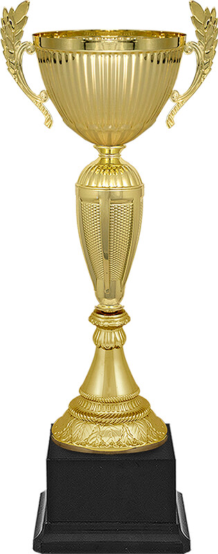 Кубок Рамиль 4560-380-109