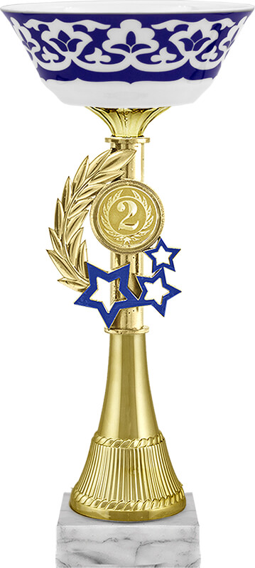 Кубок Замира 1,2,3 место 4586-260-102