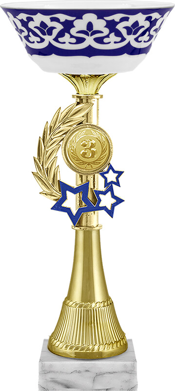 Кубок Замира 1,2,3 место 4586-260-103