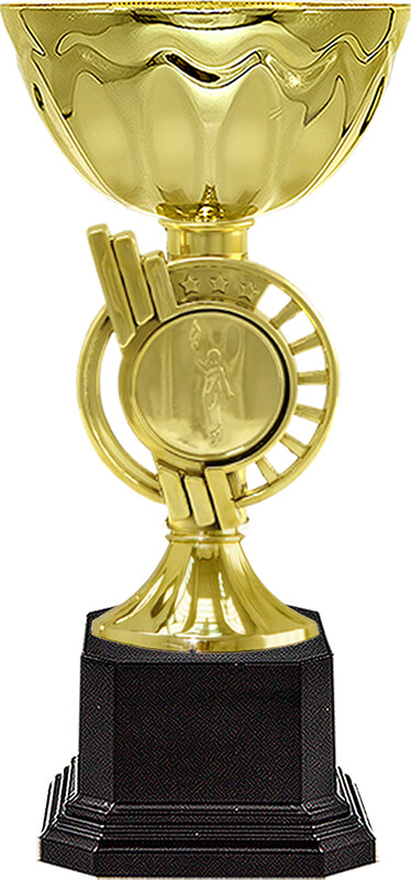 Кубок Айли 4629-170-100