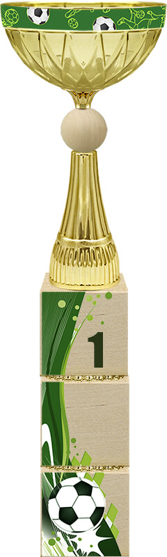 Кубок Ювента 1,2,3 место 4696-310-101