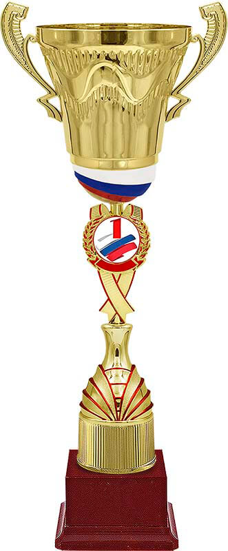 Кубок Багратион 1,2,3 место 4706-650-101