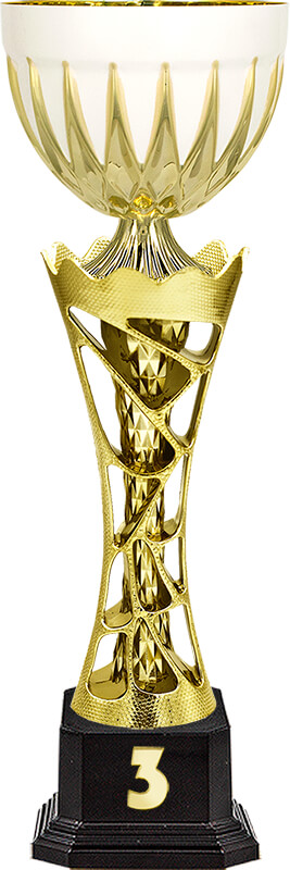 Кубок Арамис 1,2,3 место 4720-350-103