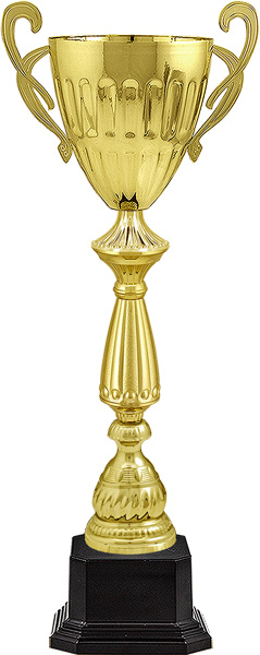 Кубок Казбек 4737-680-100