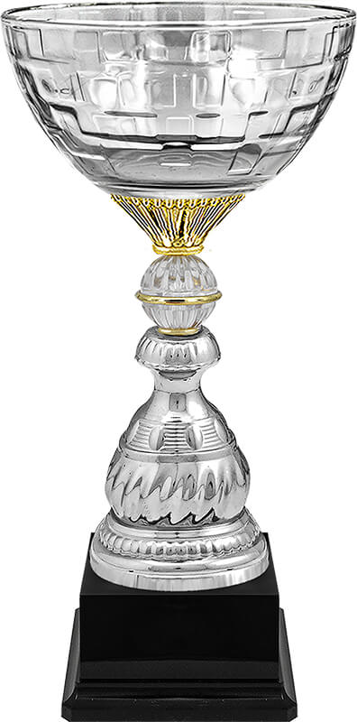 Кубок Ньютон 5910-390-200