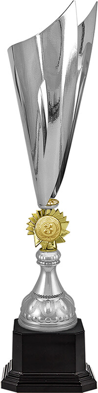 Кубок Лойс 1,2,3 место 5956-510-203