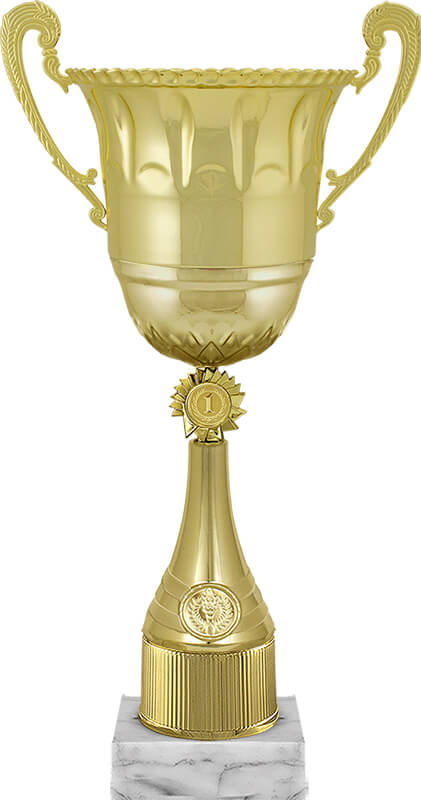 Кубок Ойла 1,2,3 место 5996-400-001